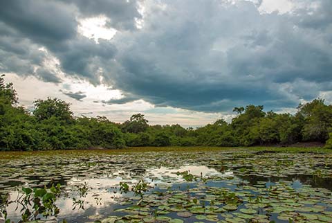 pantanal landschaft_0192