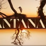 TV-Romanze sorgt für Touristenboom im Pantanal
