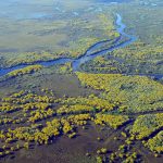Archäologische Hotspots des Pantanals sollen Touristenroute werden