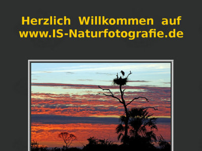 Naturfoto