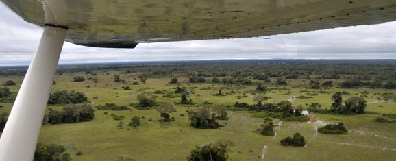 pantanal flug