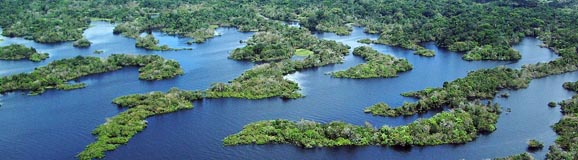 region amazonas_578