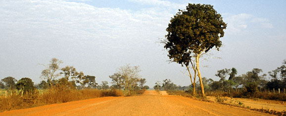 transpantaneira_578